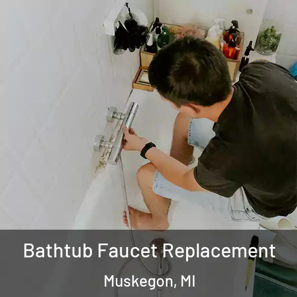  Bathtub Faucet Replacement Muskegon, MI