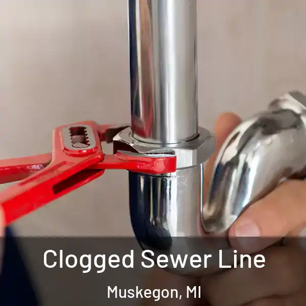  Clogged Sewer Line Muskegon, MI