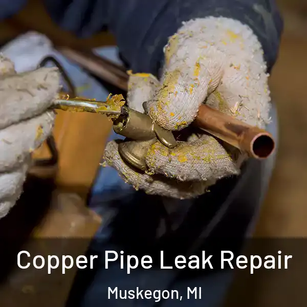  Copper Pipe Leak Repair Muskegon, MI