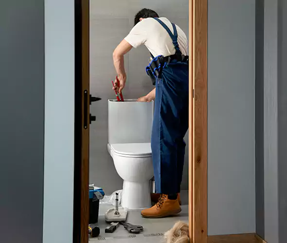 Professional Plumbers for Toilet Bowl Replacement in Muskegon, MI: Schedule Affordable Toilet Replacement Services With Us