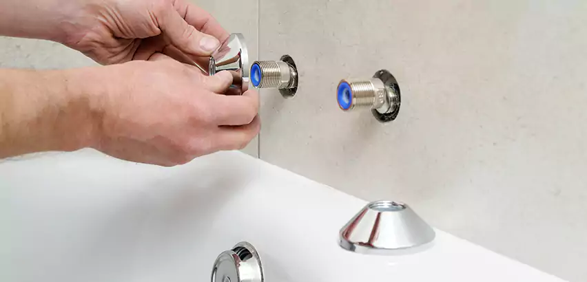 Bathtub Faucet Diverter Replacement in Muskegon