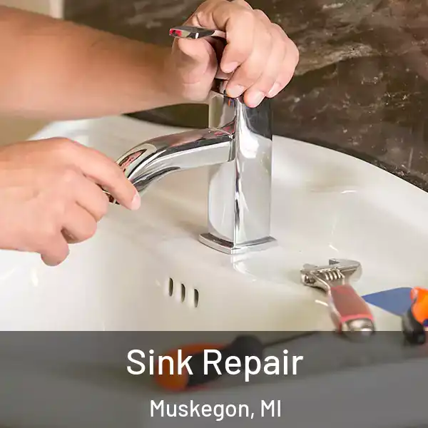  Sink Repair Muskegon, MI